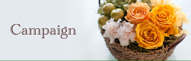 キャンペーン