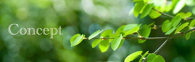 コンセプト